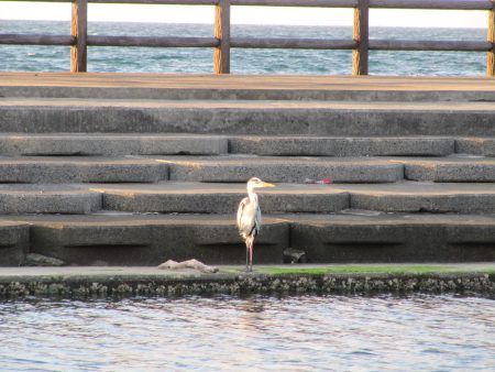 なかなか渋い日になりました。